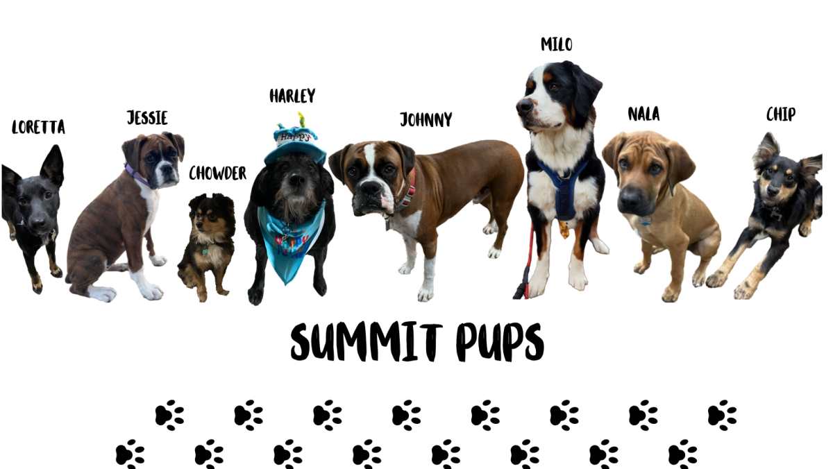 Dog Licenses – Summit Township, Erie County, PA